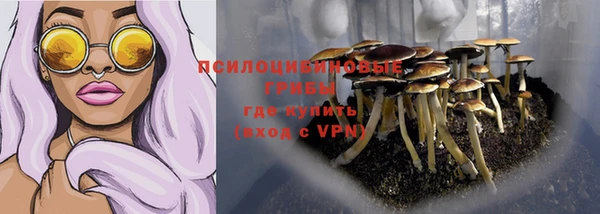 гидропоника Алексин