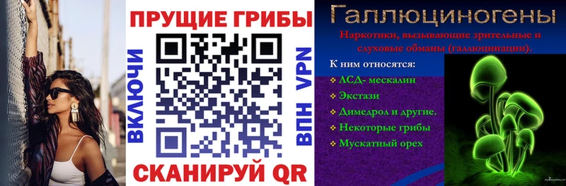 Купить  Бугульма  Псилоцибиновые грибы Psilocybe 